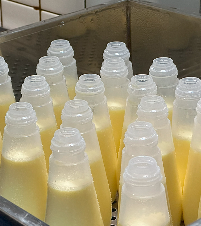 製造工程-蒸し上がり